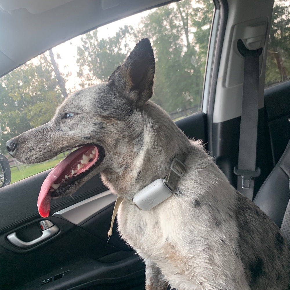 Meet your Posher, Kayley